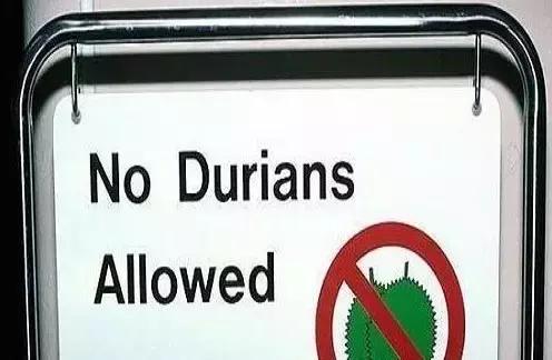 榴莲让人流连忘返视频,有一种美味叫做榴莲忘返的文案