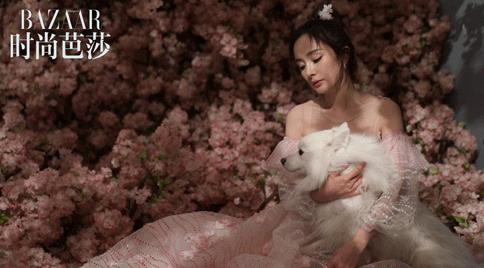 杨幂赵又延合体拍摄大片，三生三世十里桃花情景再现