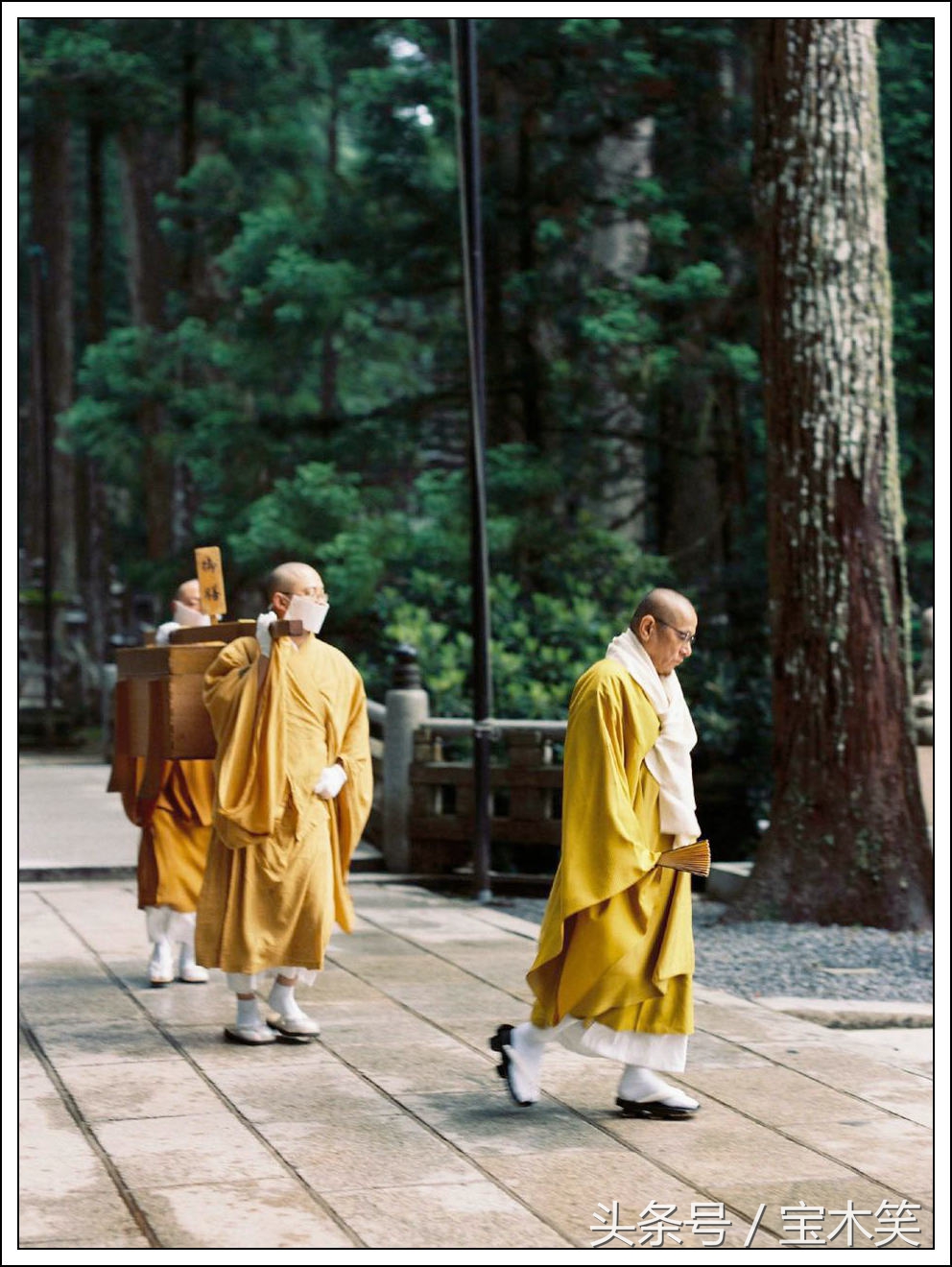 如俳句般绽放:谷口治郎的坚守和他的禅