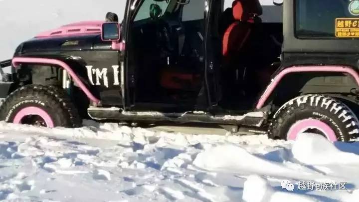 陪伴是最长情的告白——我和切诺基的故事