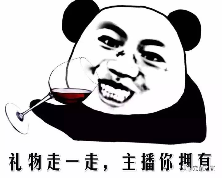 荷兰猪尿垢怎么清洗,荷兰猪尿渍怎么处理