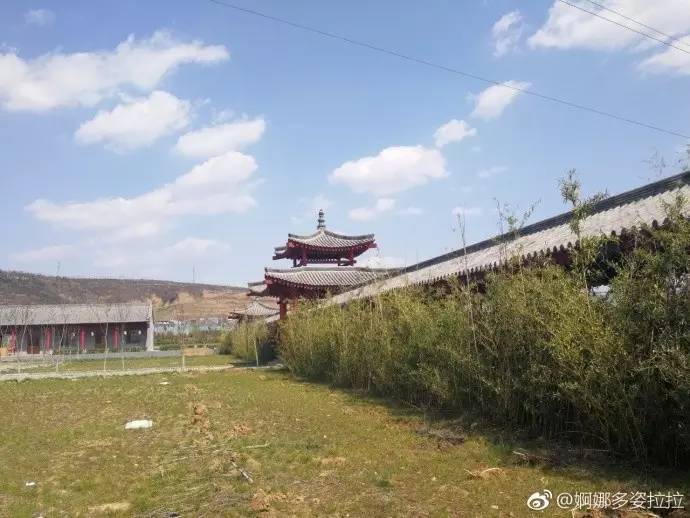 西安长安区赏桃花的地方最新,西安王莽万亩桃花盛开