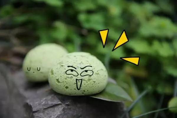 魔都青团界又作妖了！牛蛙、樱花、榴莲、火锅……奇葩合集！