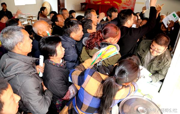 柑橘夏梢怎么防虫害,柑橘果树除虫最有效的方法