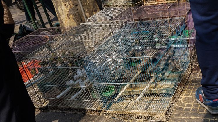 实拍：西安市井的味道