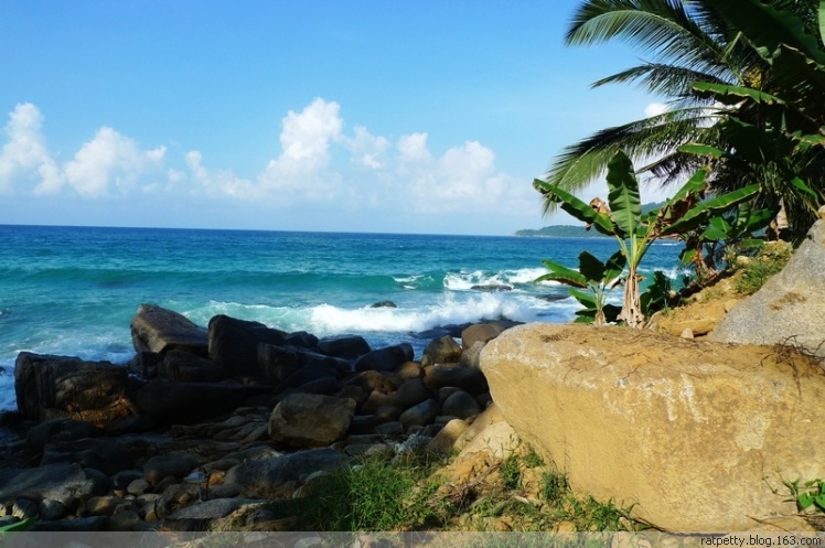 在孤独小岛上追蜥蜴、为岛民演奏音乐、玩浮潜、品冰咖啡，好享受