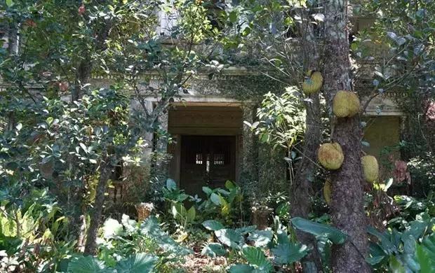 海口游玩攻略必去景点,海口旅游日常攻略大全最新