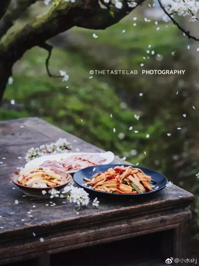 她是“成都第一私房菜美女老板”，与李易峰合作，和方大同录节目