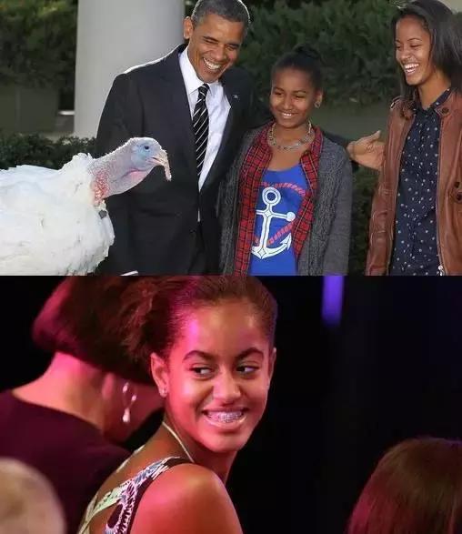 有多少明星整了鼻子,整过的明星有哪些