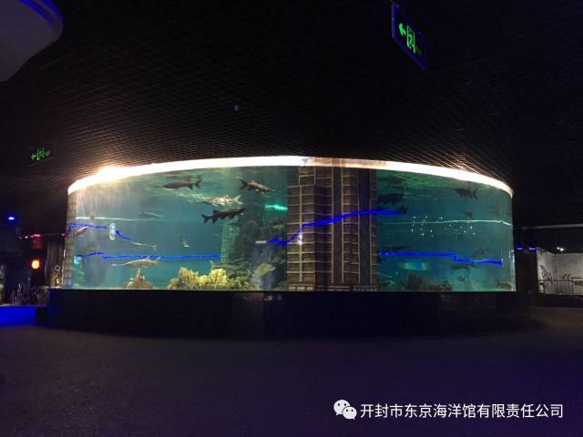 下雨适合去极地海洋世界玩吗,下雨天极地海洋世界