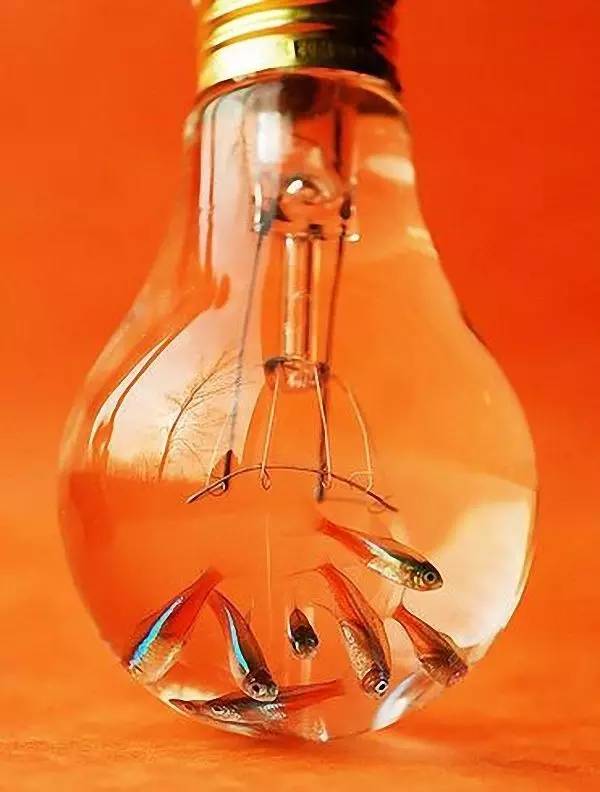 爱迪生发明电灯时，肯定想不到今天大家会这样玩丨壹起玩