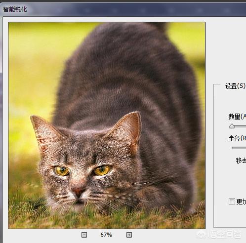 照片拍虚了ps怎么修复,拍了一张照片怎么用ps处理