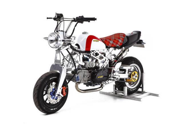 猴猴猴赛雷,猴赛雷猴子视频