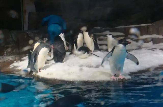 重庆巴南区哪里发展得好,重庆巴南区都有哪些地方