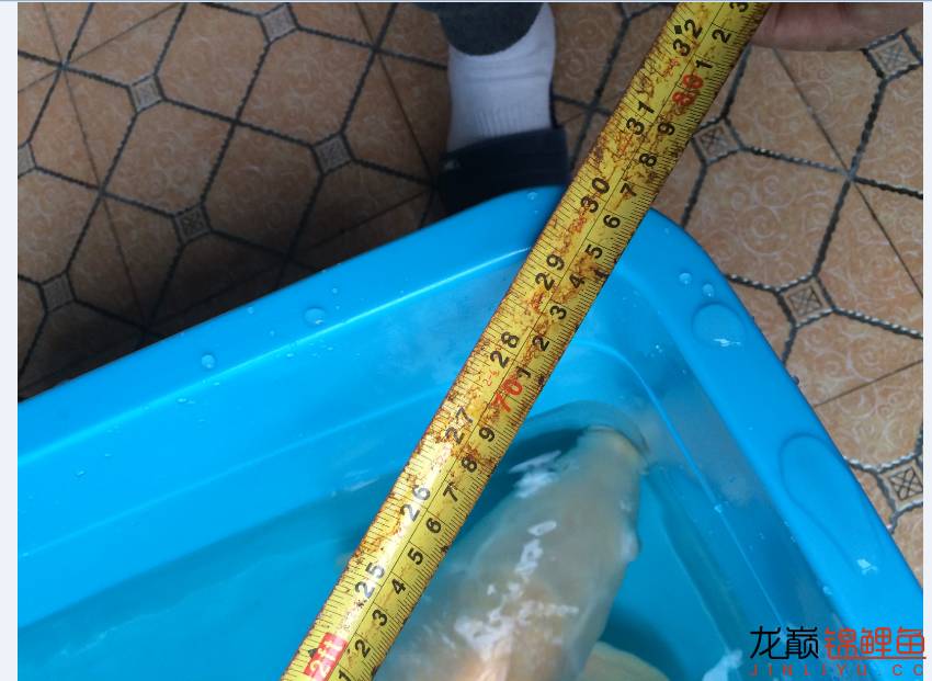 疖子的最佳治疗方法,疖子疮怎么治疗