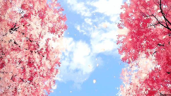 桃花季｜今天的沈阳，桃花开了，春风十里，挑一天走起……