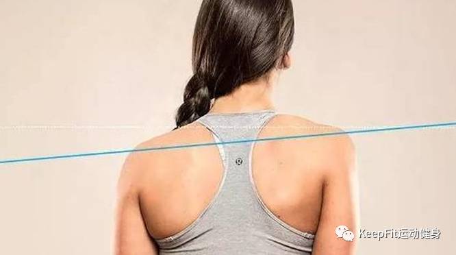 健身你必须知道的20个拉伸,健身你需要知道的15个拉伸动作