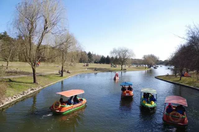 上海奉贤一日游最佳景点一览表,上海宝山区最值得去的五个景点