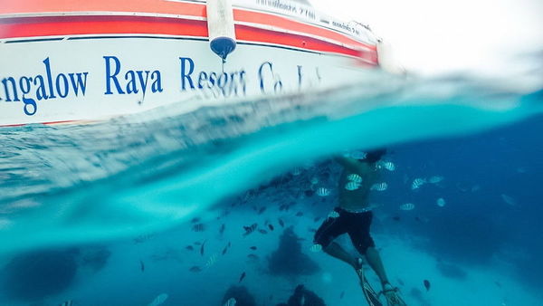 每当海岛又下起了雨赏析,每当海岛又下起了雨小说