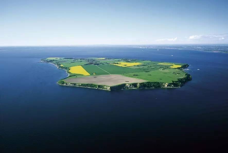 鏄ョ敯鑺辫姳鏃ュ父,鏄ョ敯鑺辫姳鑻辫