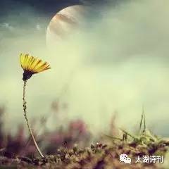 这场爱情没结果,这场爱究竟错在了何处小说