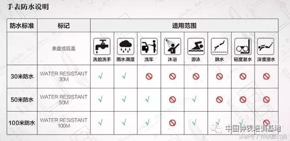卡地亚4万6元,卡地亚4万多表女款