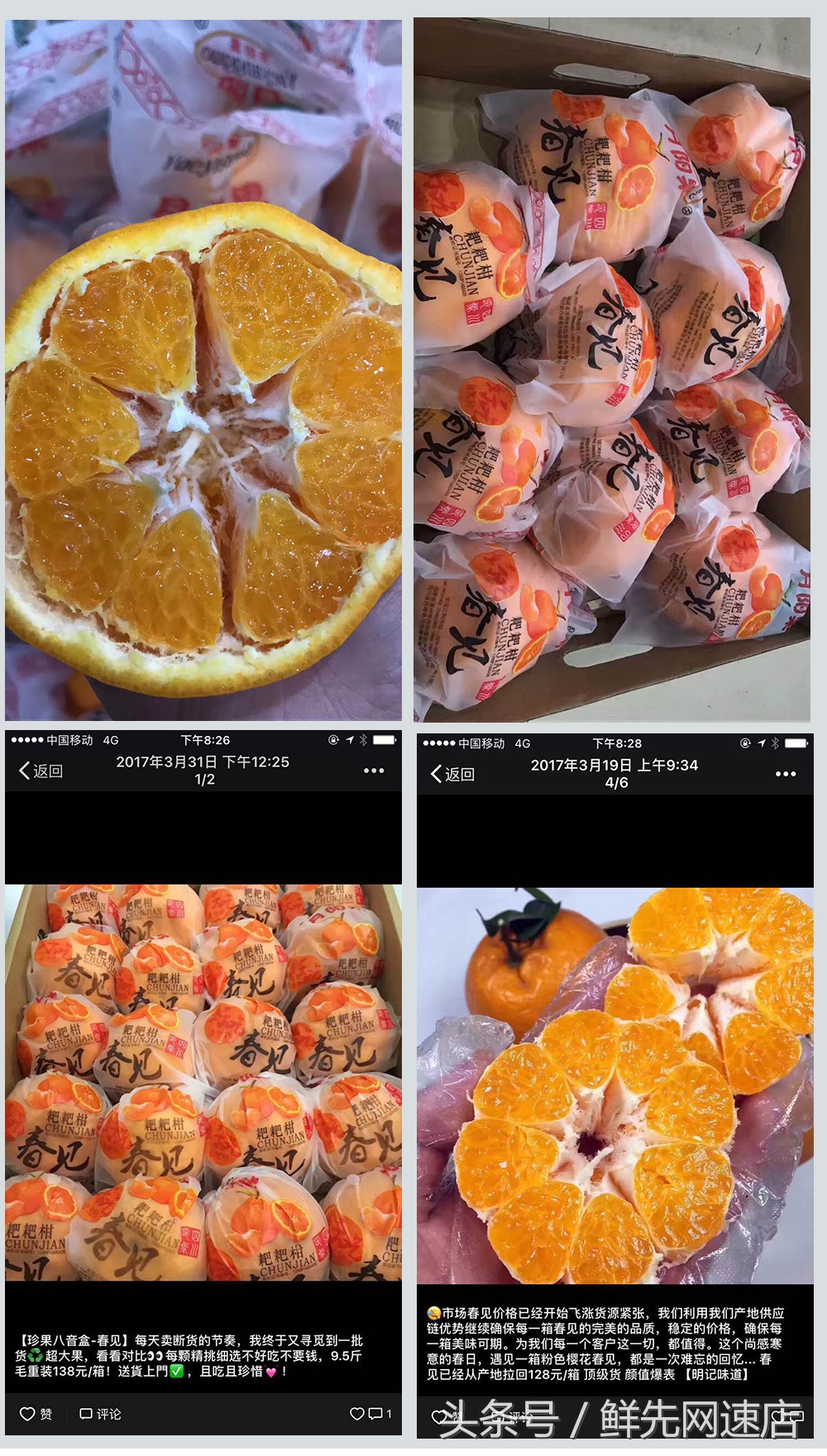 粑粑柑最近为什么这么便宜,粑粑柑怎么一年四季都有