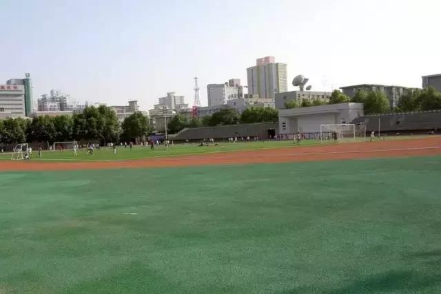 春天来了带着孩子出来,春天来了带着孩子去踏青吧