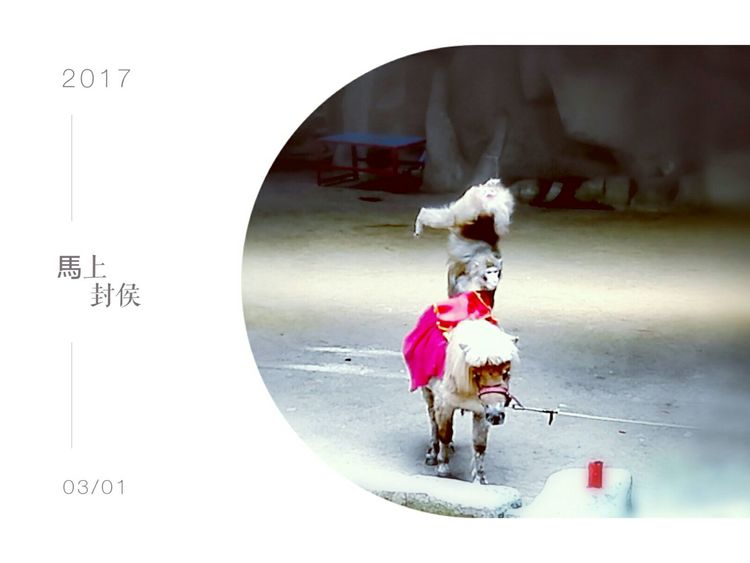 海南之旅感悟,海南行的点滴回忆