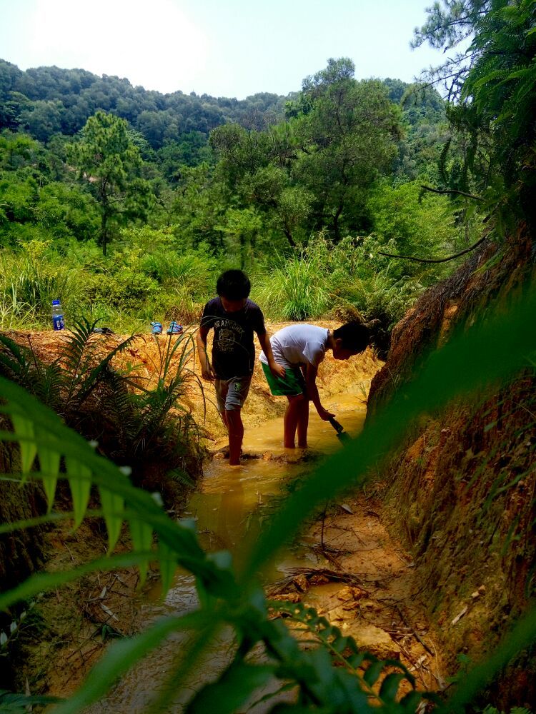 到中山的千年古刹古香林寺旧址周边山林探秘，感觉大自然太美啦