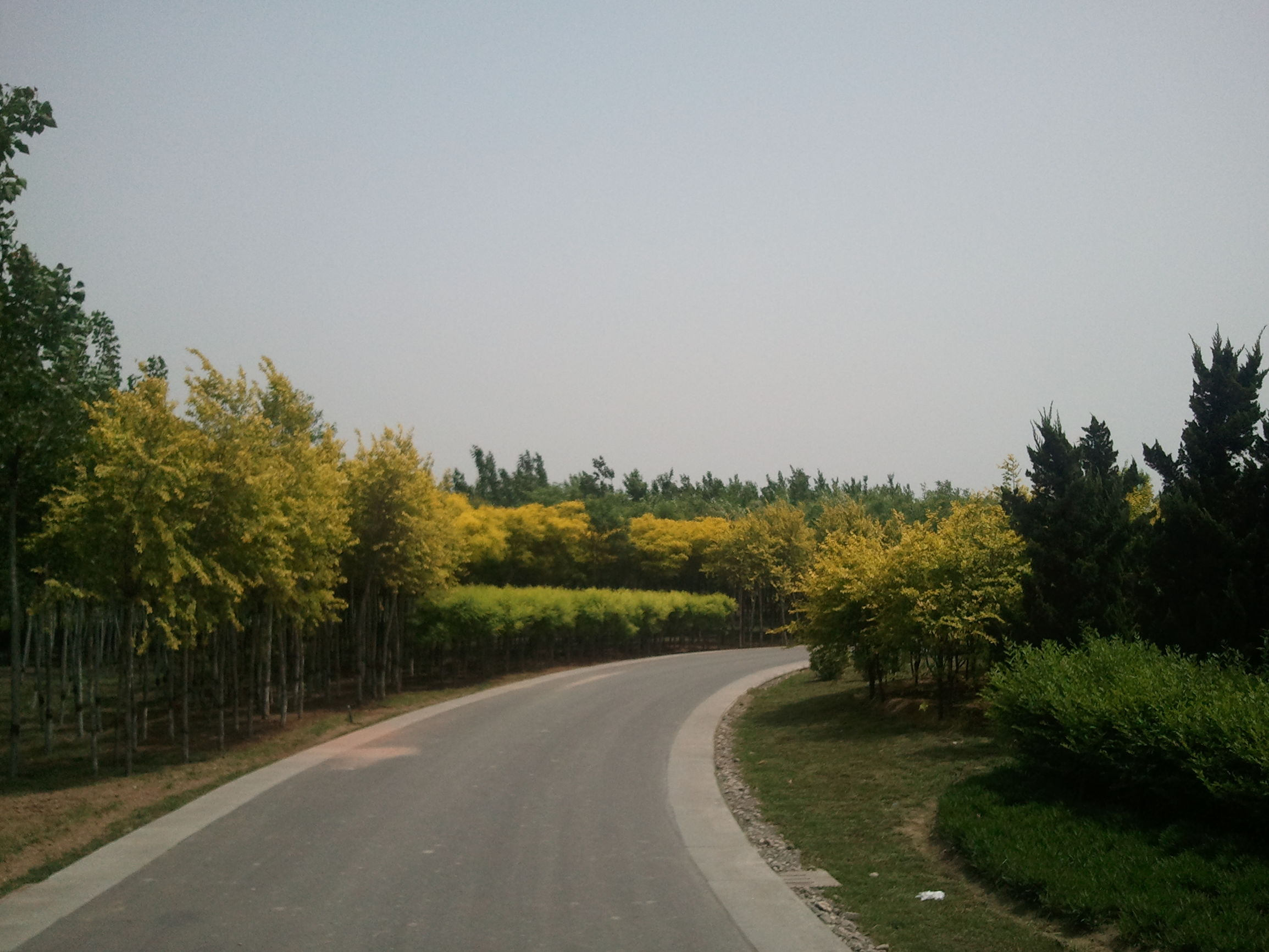 糖尿病胰岛素干预治疗方法,糖尿病低血糖怎么调整药物