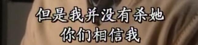 刑事侦缉档案袁天丽马成昌第五集,刑事侦缉档案袁天丽