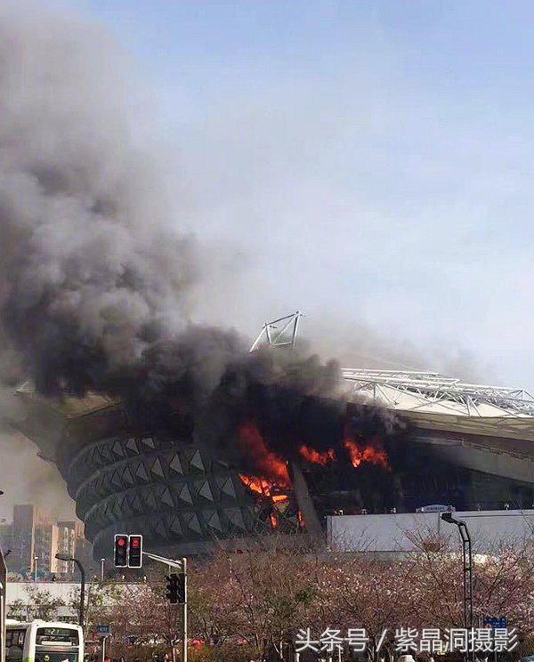 上海看樱花公园,上海看樱花去同济大学