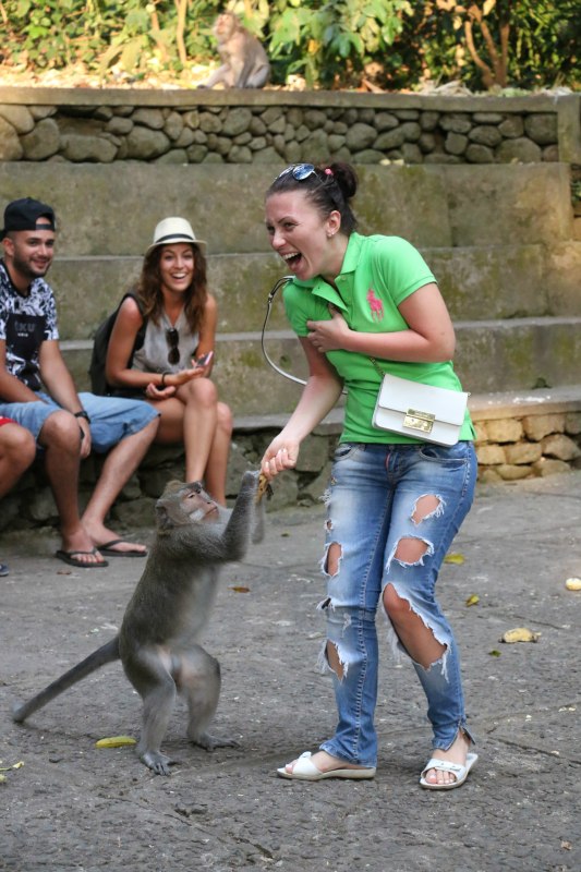 巴厘岛2天自由行,巴厘岛十一天自由行