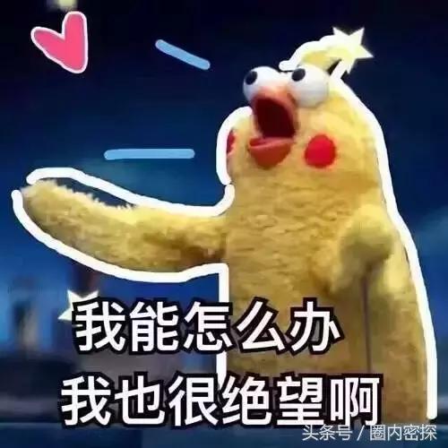 郭碧婷素颜出镜超美,郭碧婷真实素颜