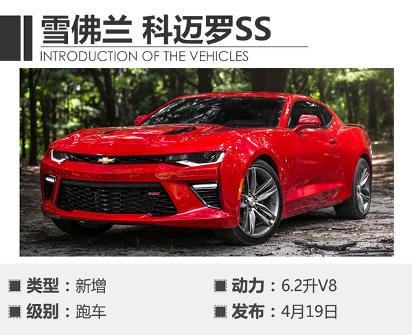 上海车展2019有些什么车,今年上海车展最值得看的车