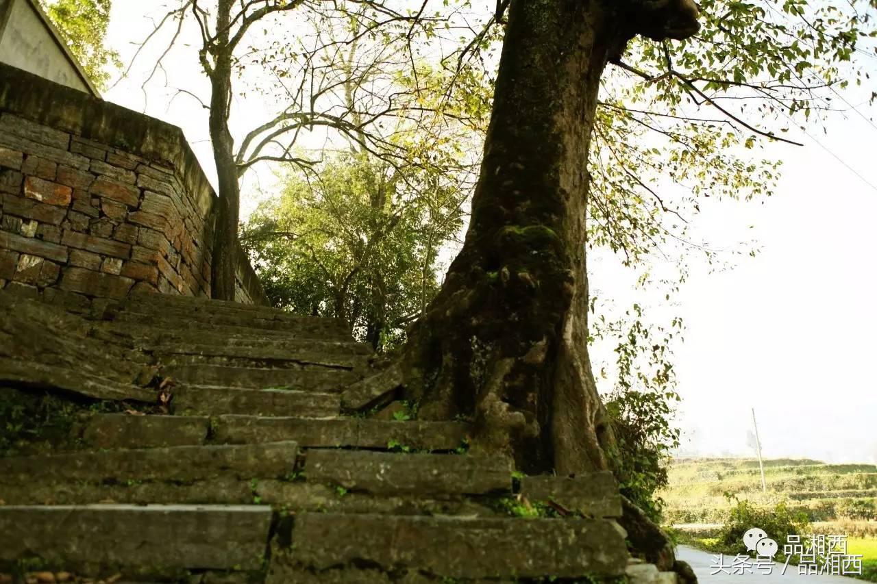湘西苗寨与世隔绝的世外桃源,曾经古老的湖南湘西苗寨