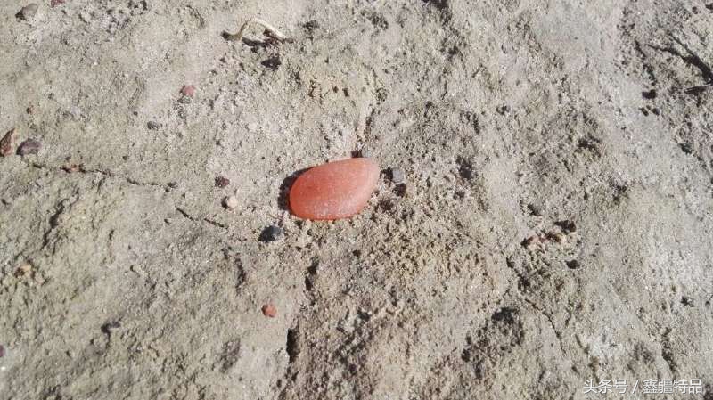 金丝玉宝石光在哪捡,捡金丝玉海蓝宝石的地方