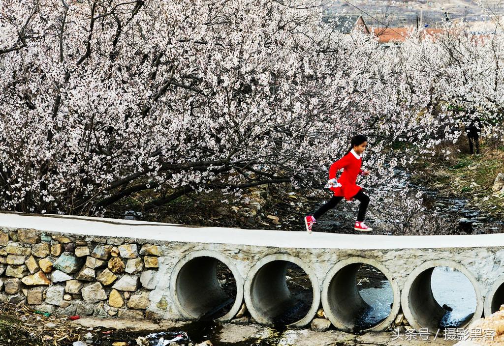 濞佹捣涔冲北妯辨,灞变笢涔冲北妯辨