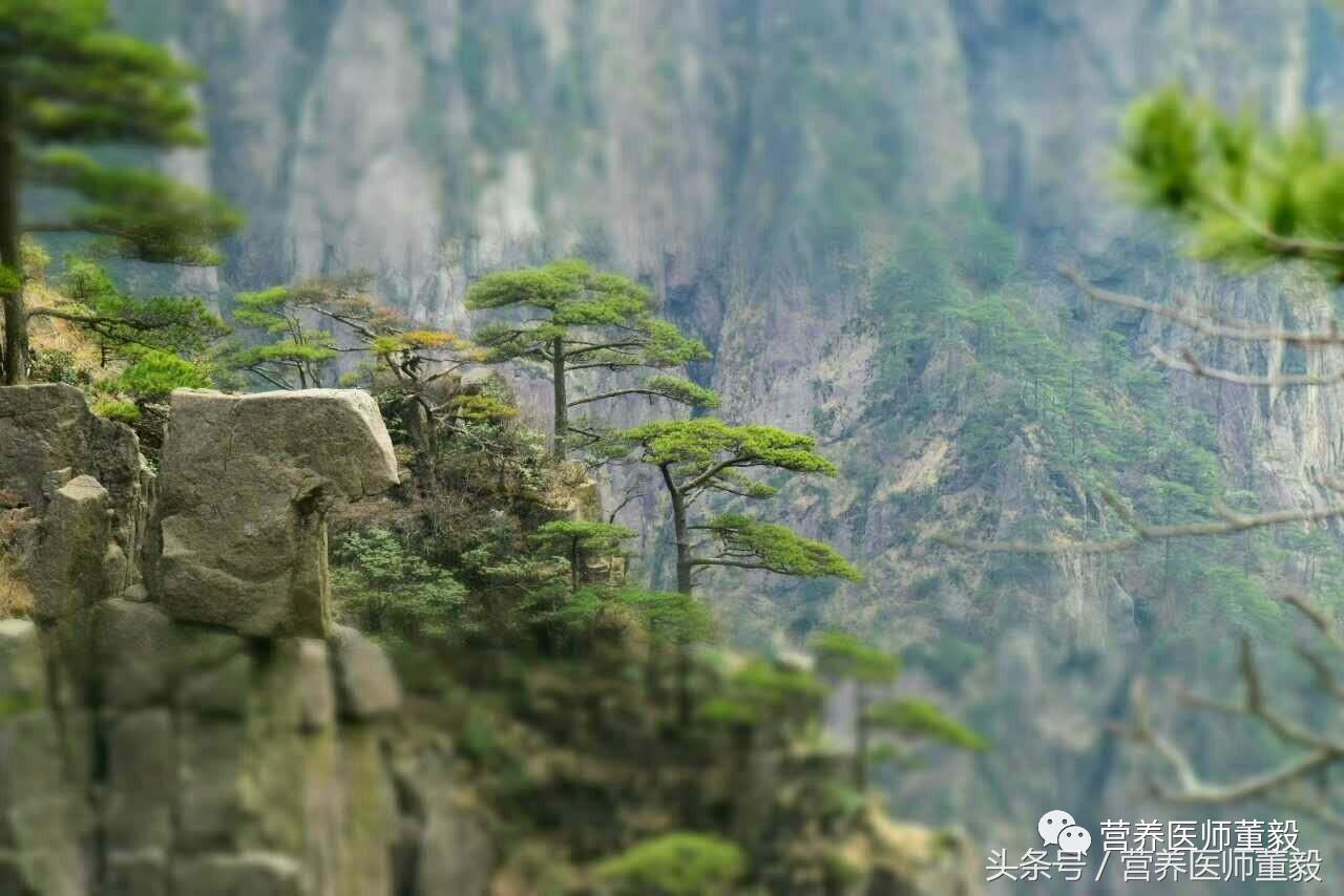 一品黄山天高云淡取景地是哪,天高云淡一品黄山广告原视频