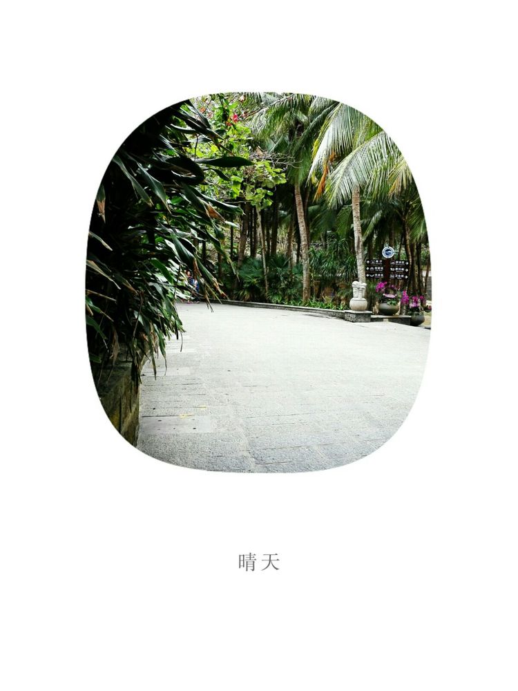 海南之旅感悟,海南行的点滴回忆