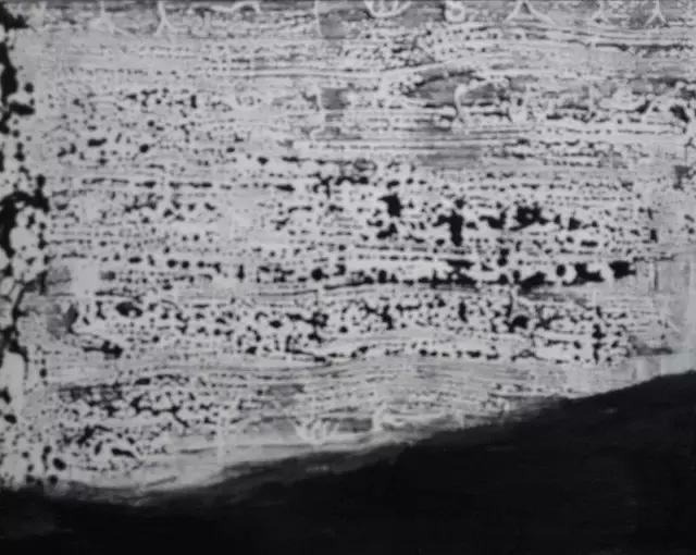 万锐：英伦岛归来的艺术“精灵”