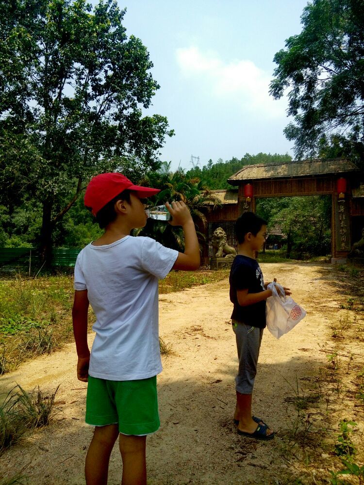 到中山的千年古刹古香林寺旧址周边山林探秘，感觉大自然太美啦