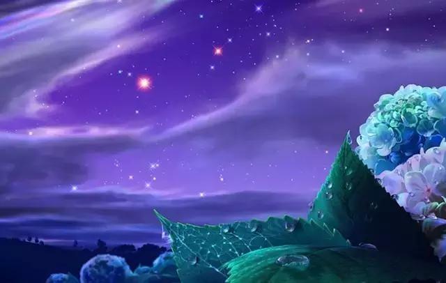 个性签名最经典的一句是什么,20句经典个性签名总有一句适合你