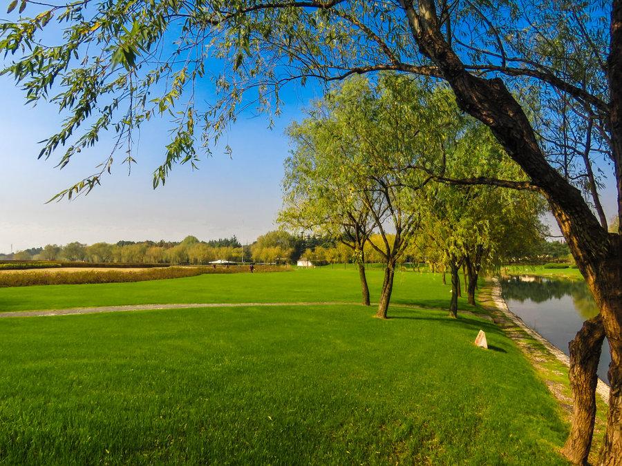 漫步上海魔都秋游的十个好去处,魔都最美的九大公园