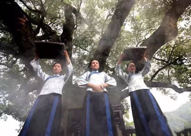 婺源县绿茶,婺源绿茶老字号