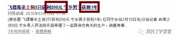 日本土狗为什么那么可爱,日本土狗是柴犬还是秋田犬