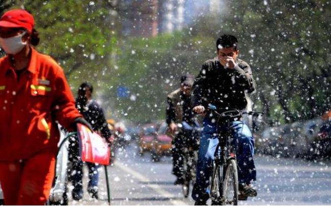 4月踏青赏花,4月赏花