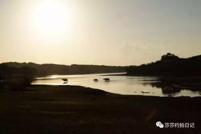 斯里兰卡旅游线路图高清,斯里兰卡自由行旅游攻略