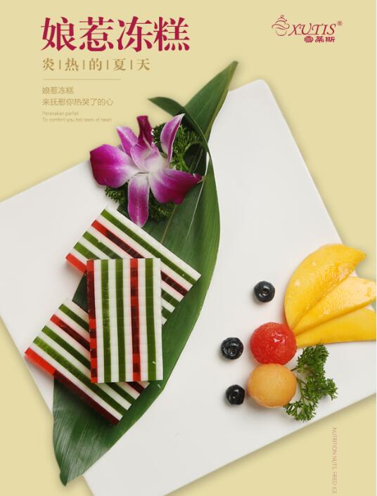 冰淇淋的创业方法和技巧,雪蒂斯冰淇淋